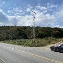 지금관광농원 이미지