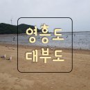 하늘장 이미지