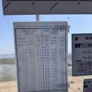 폴리타운 버스정류장 뒤 | 5월 무의도 뚜벅이 여행 후기 : 가는 법, 해상관광탐방로, 칼국수 맛집까지