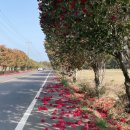 신흥2리 마을회관 이미지