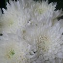 대전한국병원 장례식장 이미지