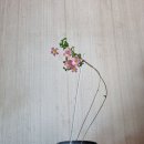 헤어크리스탈 - 미추홀구 송림로 179 | 헤어크리스탈