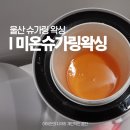 아나덴슈가링왁싱울산삼산점 | 울산 왁싱샵 미온 슈가링왁싱 삼산 브라질리언 임산부 저자극