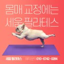 바디세움필라테스