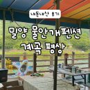 물안개 펜션 | [경북 밀양] 계곡 평상 예약 / 물안개 펜션 캠핑장 / 반려견 동반가능, 샤워실 있음