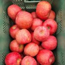 해병농원 이미지