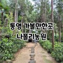 통영 편백숲길 관광농원 | 통영 가볼만한곳 나폴리농원 맨발걷기 족욕 여행 이색데이트