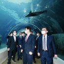 아라마루 이미지