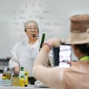 7월의 사찰풍경 -- 용인 법륜사, 예천 용문사 , 양양 낙산사 여름특별템플스테이 이미지