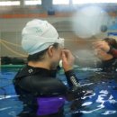 냥플레이스 이미지