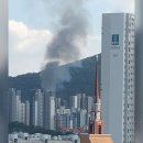 구룡 이미지