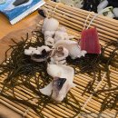 참치나라 | 구의역 맛집 :: 29,000원 참치 오마카세 "참치나라" 솔직후기