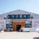 가구렐라