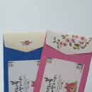 k-최강태권도 이미지