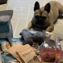 트릿츄잇 이미지