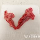 영대동물병원 이미지