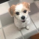 송현샘지역 아동센터 | Ep9.마지막 상담 회기를 앞두고 - 정신건강 바우처 사업 좋은 기관 고르는 법과 신청과정★ 졸라김