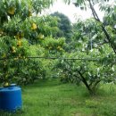 선아농장 이미지