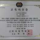 로취방역119