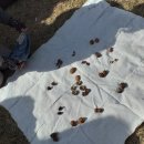 로제타안경 이미지