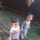 지성어린이집 이미지