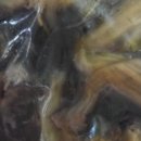 분지농장 이미지