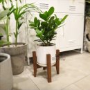 분당-298 이미지