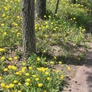 러블리멍 | 천안 신방동 카페 [러블리세러데이] 내돈내산 천안 카페 추천