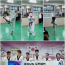 도민태권도장 네이버블로그