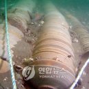 에스케이텔레콤태안 이미지