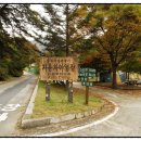 천동오토캠핑장(상) 이미지