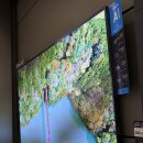 부산광역시의료원 본관 8F | 부산 가전 졸업은 여기서! 삼성스토어 롯데 광복점 구매 후기 (혜택/주차/상담 꿀팁)