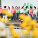 초록빛 이미지