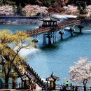 봉정사&만휴정테마 이미지