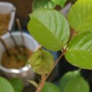 엠브릿지(주) 이미지