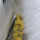 아이랑 동물병원 이미지