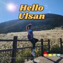 가을 | 울산 여행 :: 울산 간월재 가을 등산 다녀온 후기