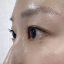 담아놓다 이미지