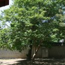 샛별모텔 이미지