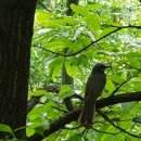 무념(無念) 이미지