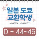 드럼(야간_초급) | [일본 도쿄 교환학생] D + 44~45 / 2024 와세다제🎉 / 이마이 후미야 토크쇼