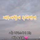 제주애월애 독채펜션 이미지