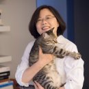 퍼스트독, 캣 이미지