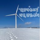 삼양유제품 이미지