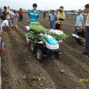 어음2리마을 이미지