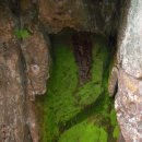 암태 노만사 이미지