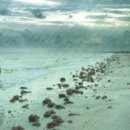 바다에 누워 이미지