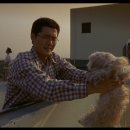 플란다스의개 이미지