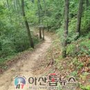 아산시 영인산 무장애나눔길 아산톱뉴스