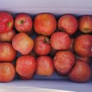 사전12-8 안길 이미지